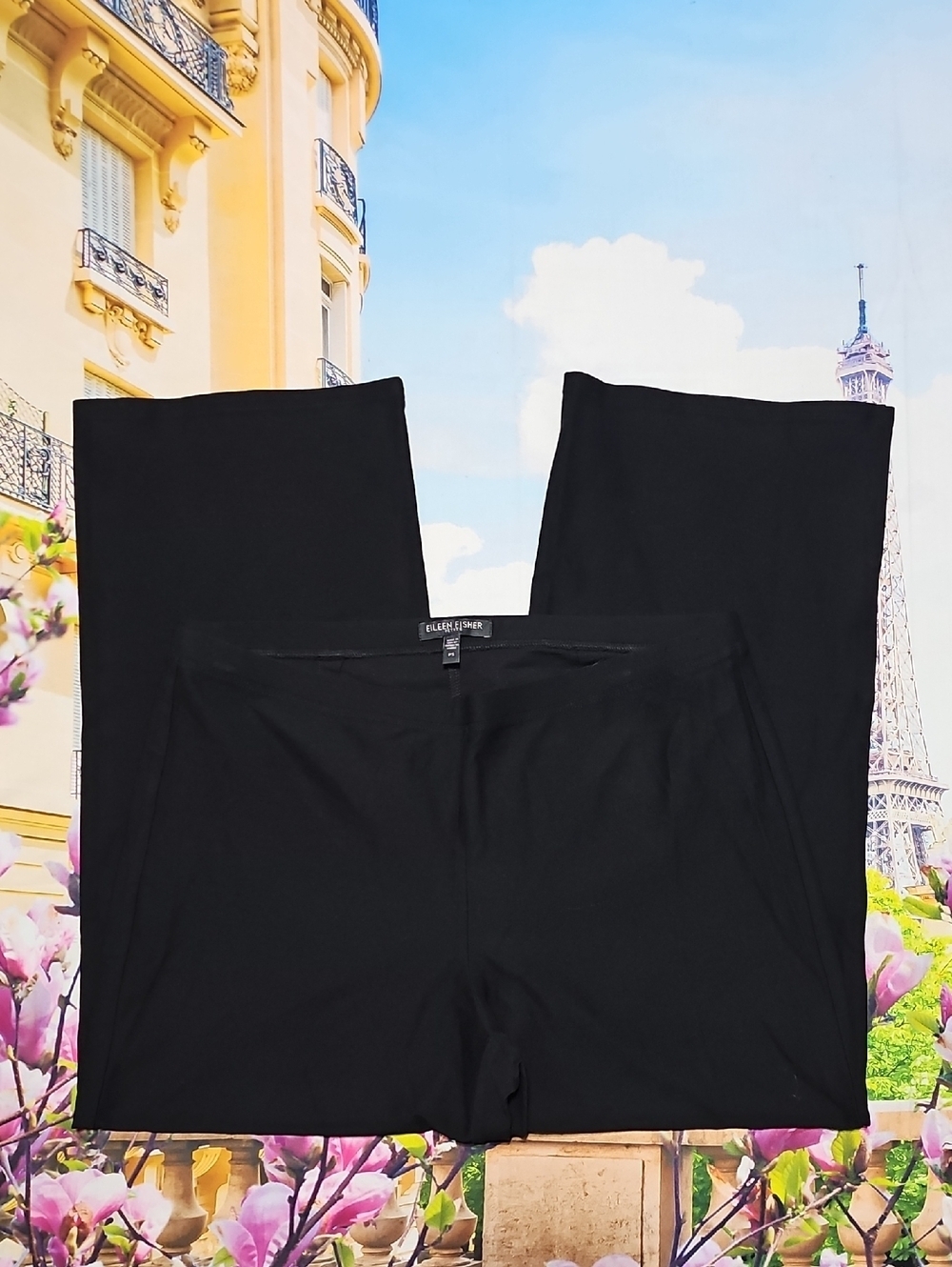 Eileen Fisher Black Cropped Pants Petite Small PS